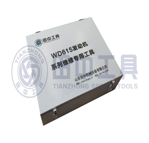 重汽WD615/618发动机维修专用工具[21件套]